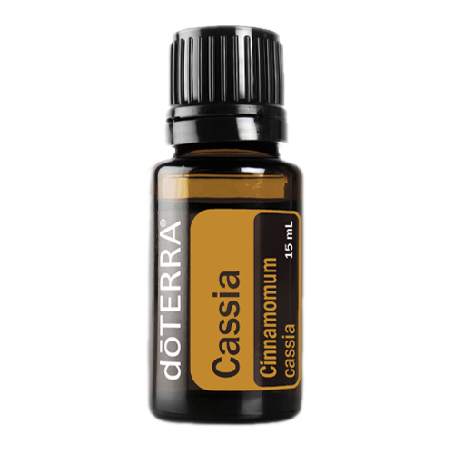 Cássia (Canela Chinesa) | 15 ml