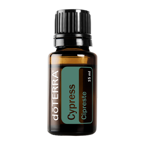 Cypress | 15 ml