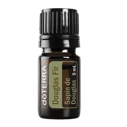 Douglas Fir | 5 ml