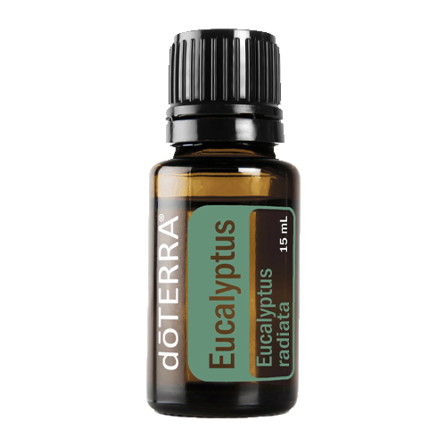 Eucalyptus (Eucalipto) | 15 ml