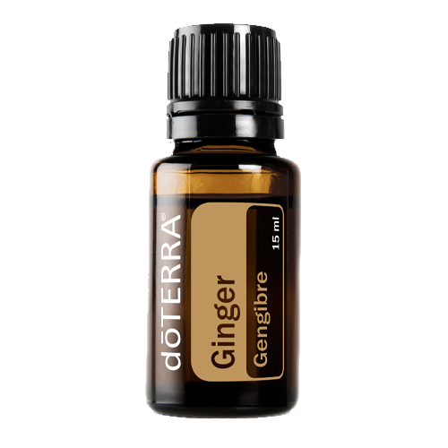Ginger (Gengibre) | 15 ml