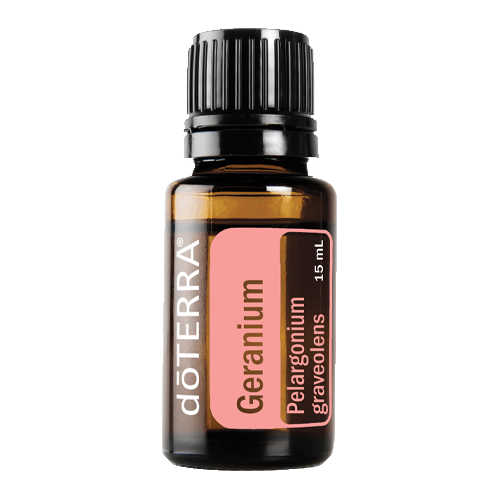 Geranium (Gerânio) | 15 ml