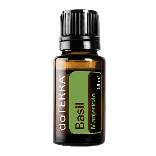Manjericão (Basil) Ocimum basilicum 15ml