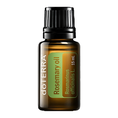 Rosemary (Alecrim) | 15 ml