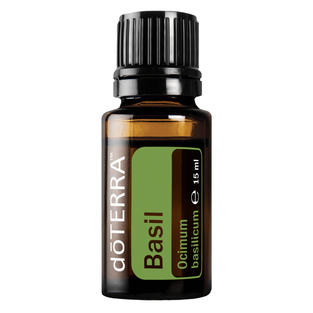 Manjericão (Basil) Ocimum basilicum 15ml