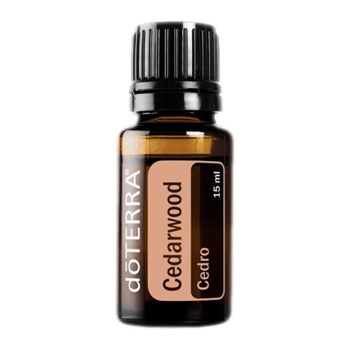 Cedarwood (Cedro) | 15ml