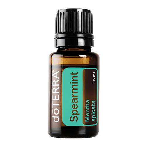 Spearmint (Hortelã) | 15ml