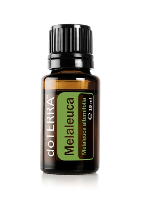 Tea Tree (Melaleuca) | 15 ml