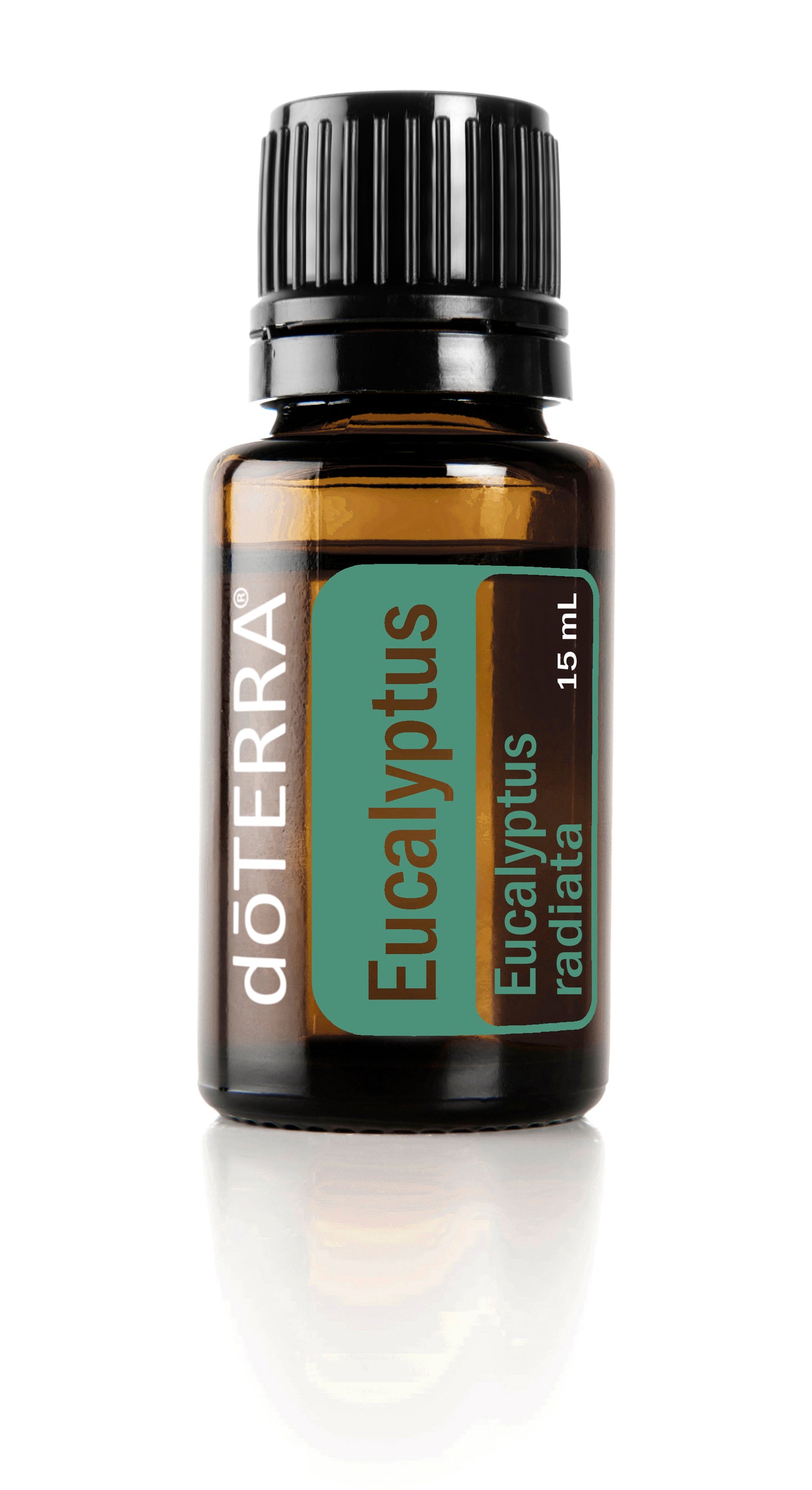 Eucalyptus (Eucalipto) | 15 ml