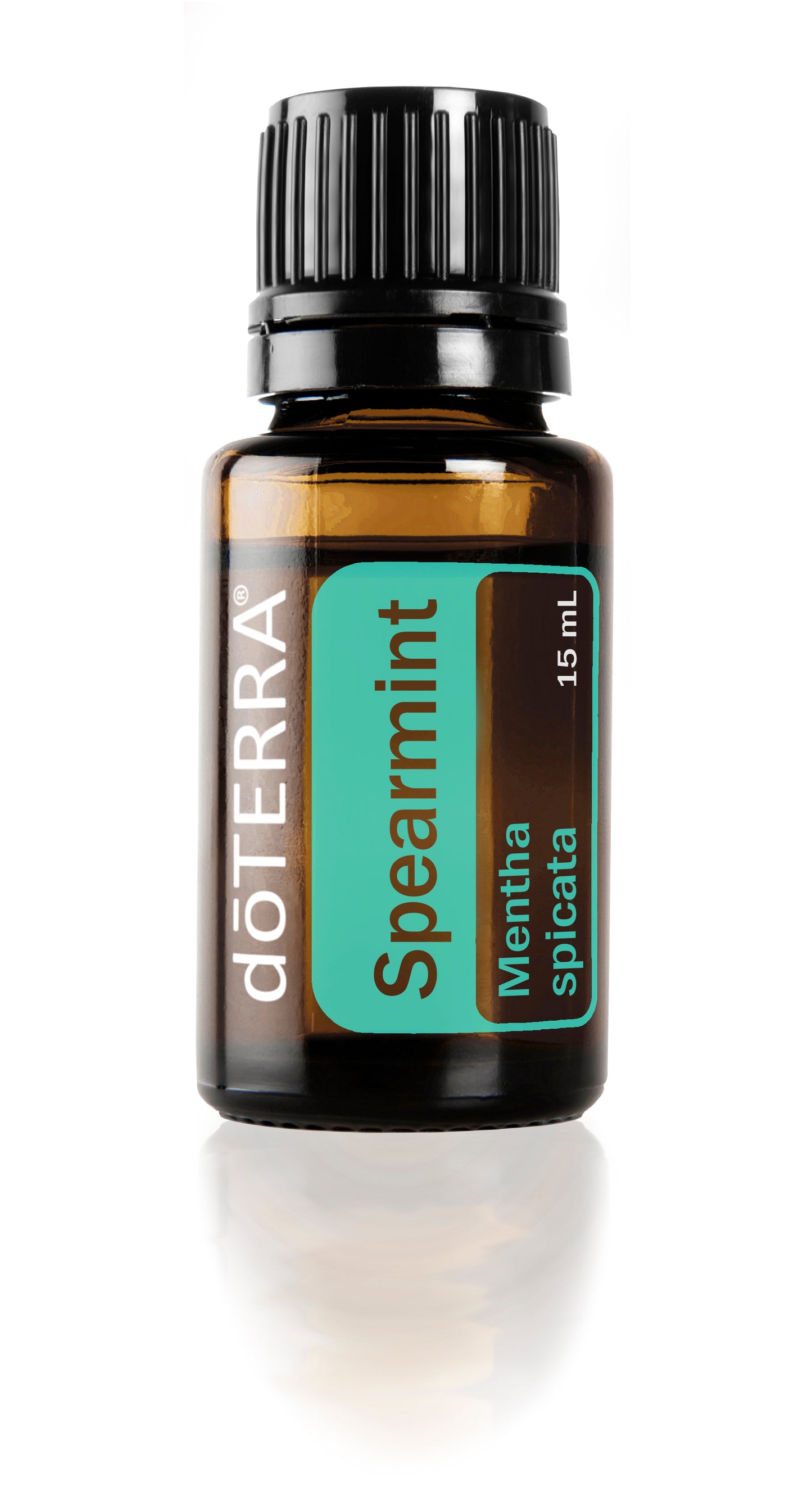 Spearmint (Hortelã) | 15ml